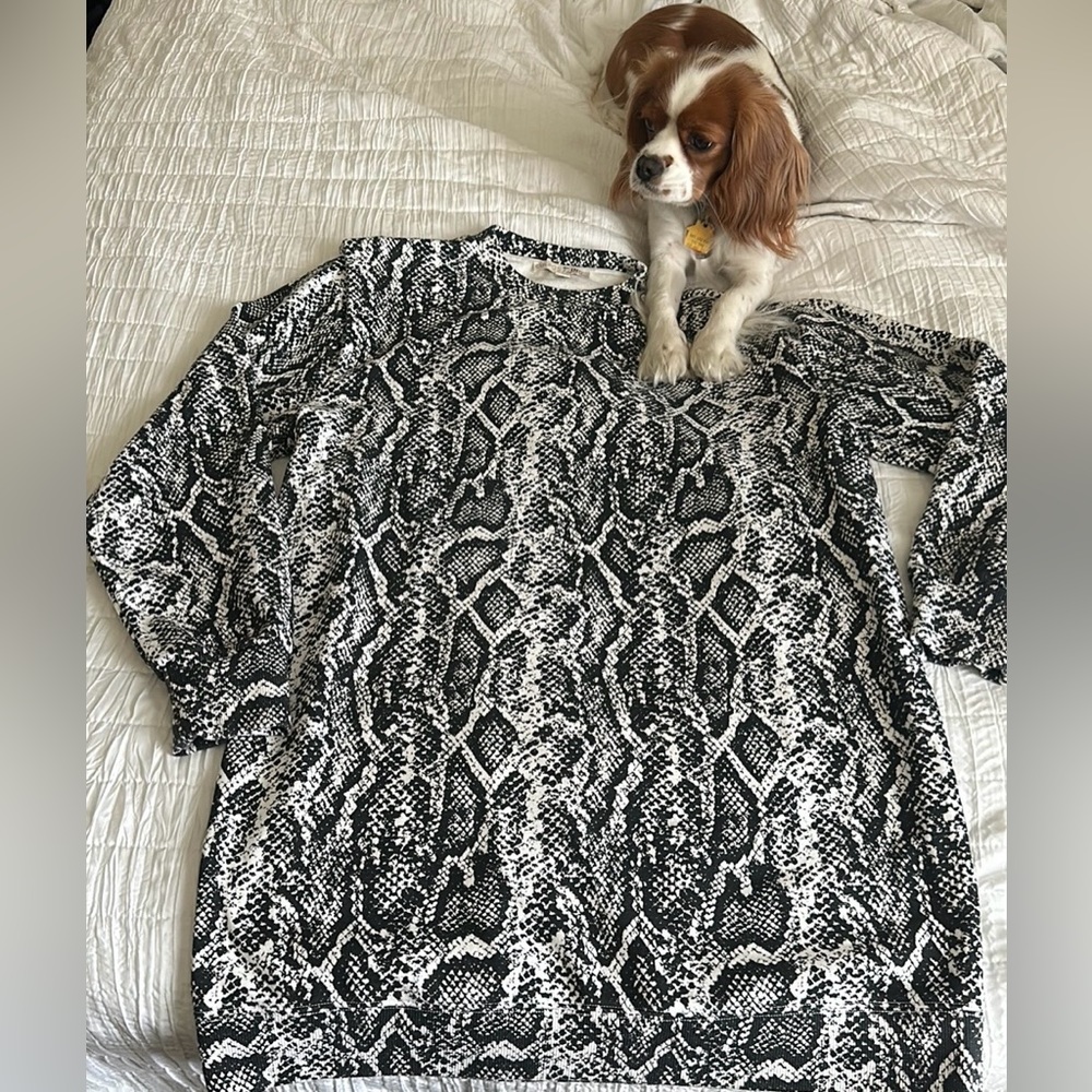 CULPOS Inc - Snake print, long sleeve dress - Never worn, Measurements in photos